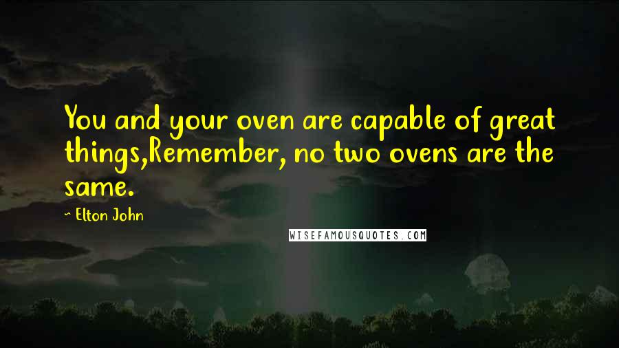 Elton John Quotes: You and your oven are capable of great things,Remember, no two ovens are the same.