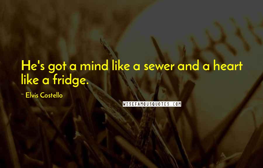 Elvis Costello Quotes: He's got a mind like a sewer and a heart like a fridge.