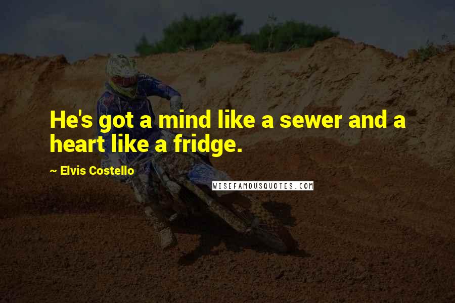 Elvis Costello Quotes: He's got a mind like a sewer and a heart like a fridge.