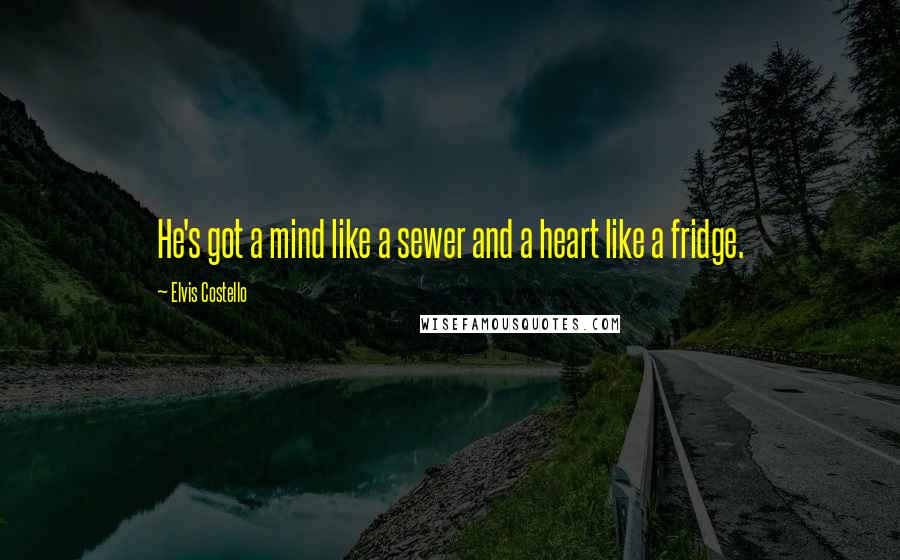 Elvis Costello Quotes: He's got a mind like a sewer and a heart like a fridge.