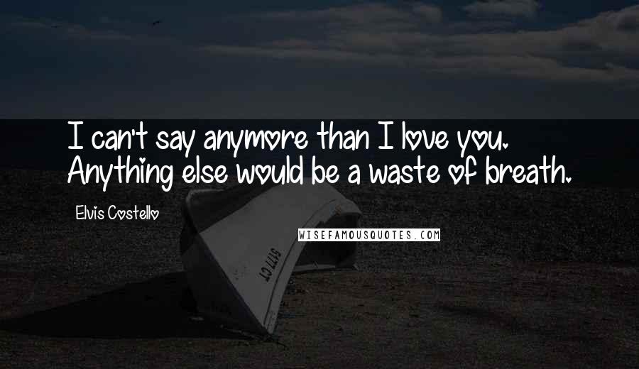 Elvis Costello Quotes: I can't say anymore than I love you. Anything else would be a waste of breath.