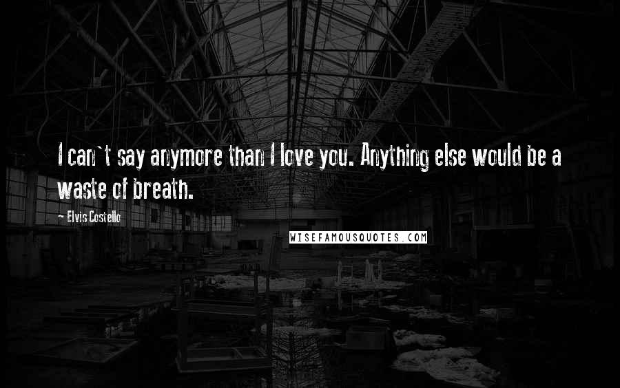 Elvis Costello Quotes: I can't say anymore than I love you. Anything else would be a waste of breath.