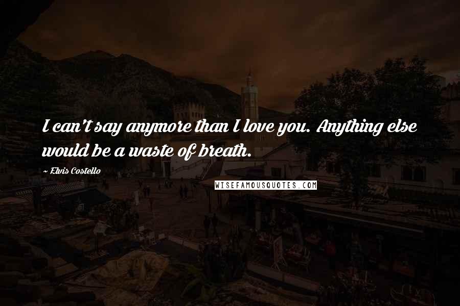 Elvis Costello Quotes: I can't say anymore than I love you. Anything else would be a waste of breath.