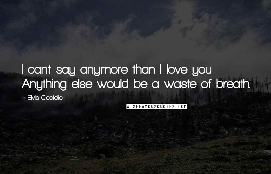 Elvis Costello Quotes: I can't say anymore than I love you. Anything else would be a waste of breath.