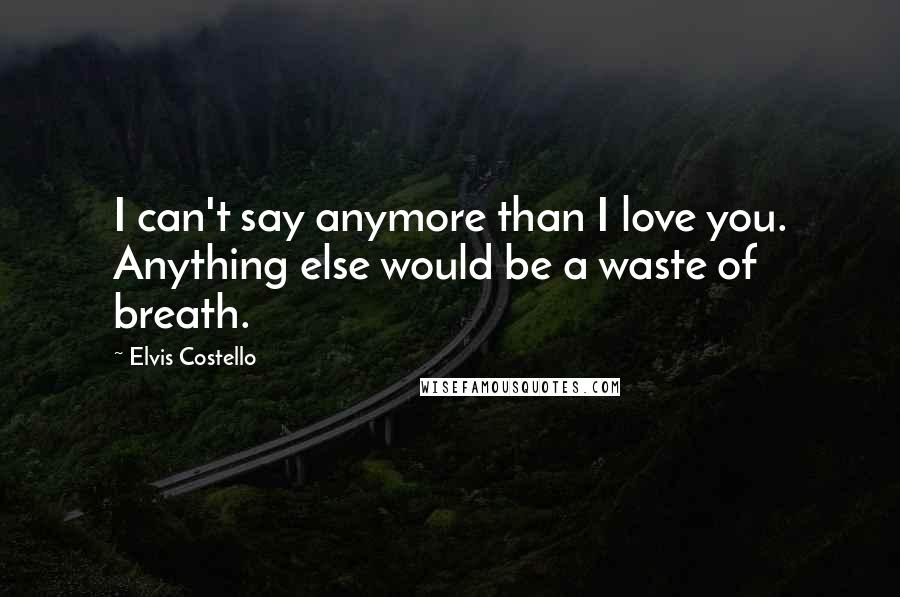 Elvis Costello Quotes: I can't say anymore than I love you. Anything else would be a waste of breath.