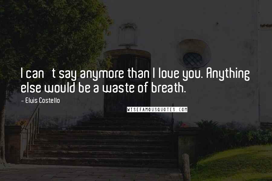 Elvis Costello Quotes: I can't say anymore than I love you. Anything else would be a waste of breath.