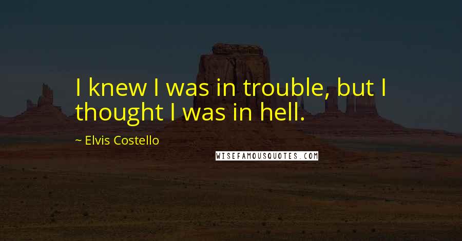 Elvis Costello Quotes: I knew I was in trouble, but I thought I was in hell.