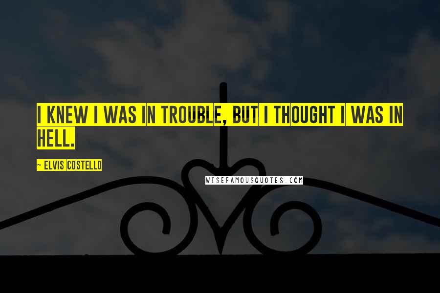 Elvis Costello Quotes: I knew I was in trouble, but I thought I was in hell.