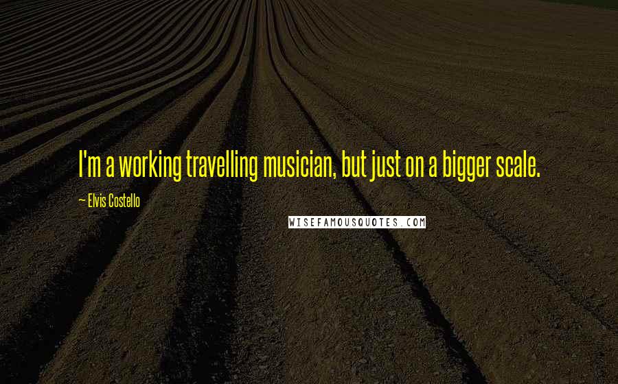 Elvis Costello Quotes: I'm a working travelling musician, but just on a bigger scale.