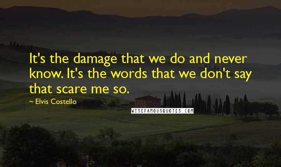 Elvis Costello Quotes: It's the damage that we do and never know. It's the words that we don't say that scare me so.