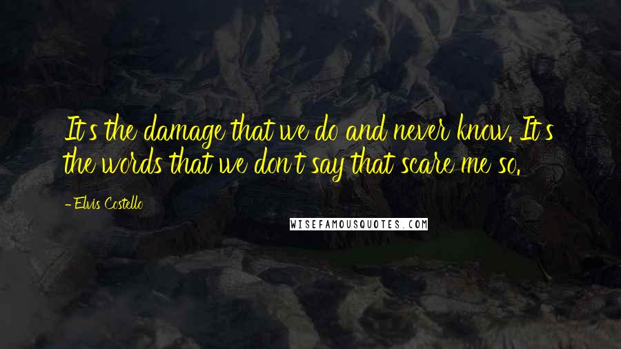 Elvis Costello Quotes: It's the damage that we do and never know. It's the words that we don't say that scare me so.