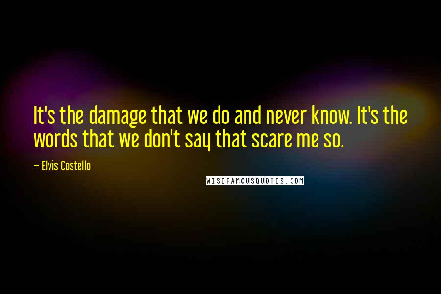 Elvis Costello Quotes: It's the damage that we do and never know. It's the words that we don't say that scare me so.