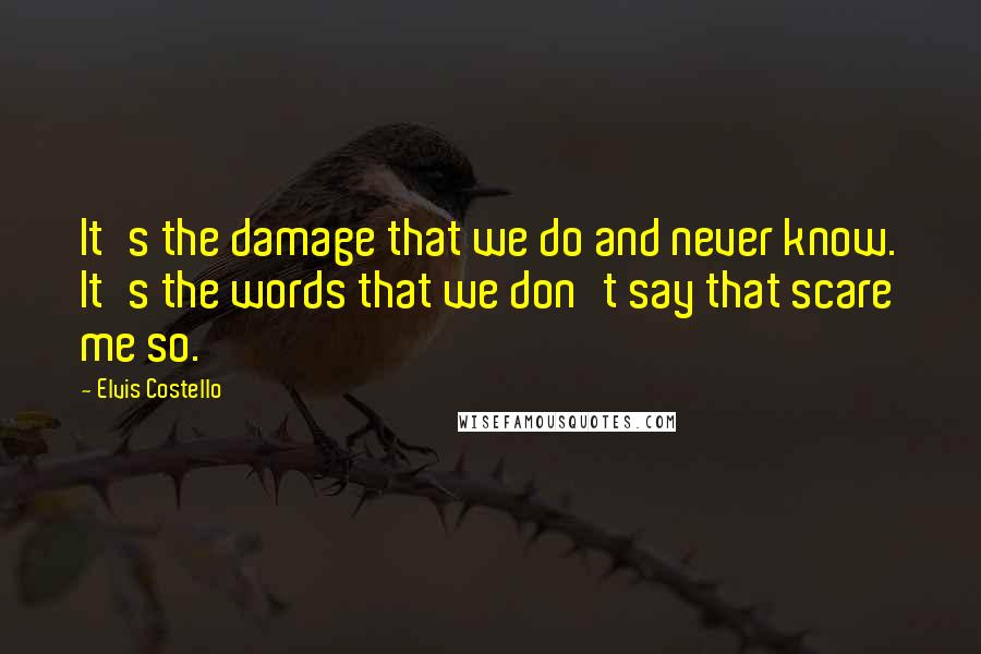 Elvis Costello Quotes: It's the damage that we do and never know. It's the words that we don't say that scare me so.