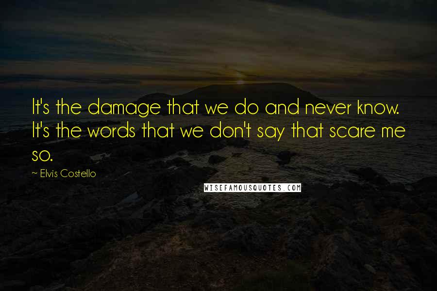 Elvis Costello Quotes: It's the damage that we do and never know. It's the words that we don't say that scare me so.