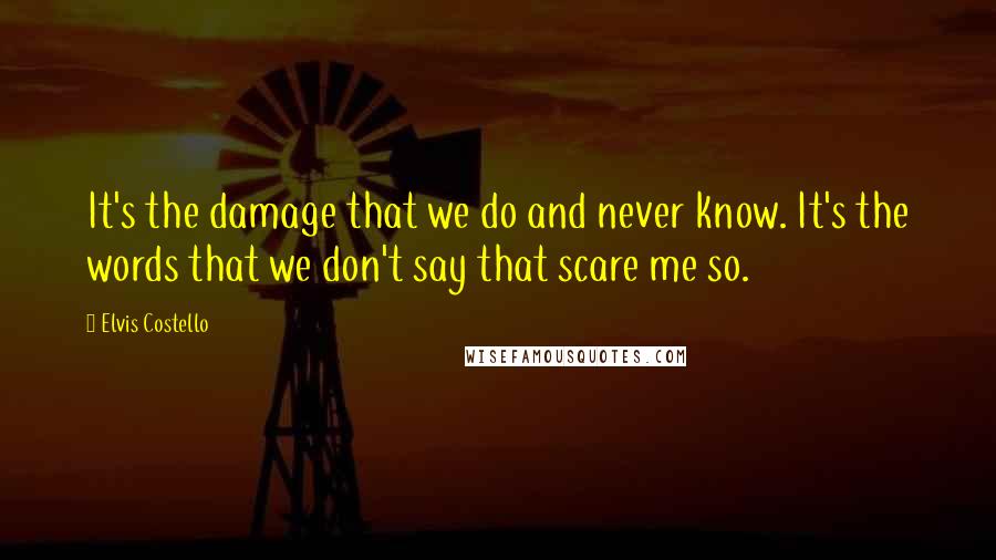 Elvis Costello Quotes: It's the damage that we do and never know. It's the words that we don't say that scare me so.