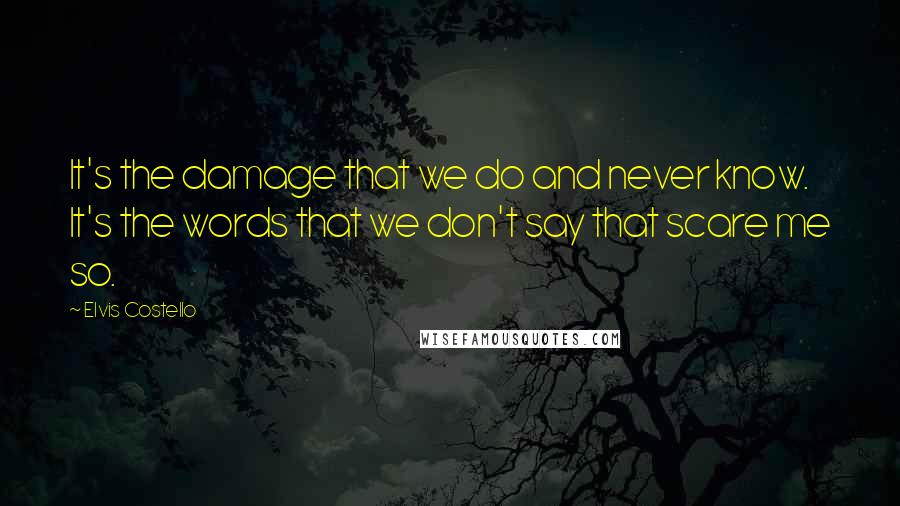 Elvis Costello Quotes: It's the damage that we do and never know. It's the words that we don't say that scare me so.