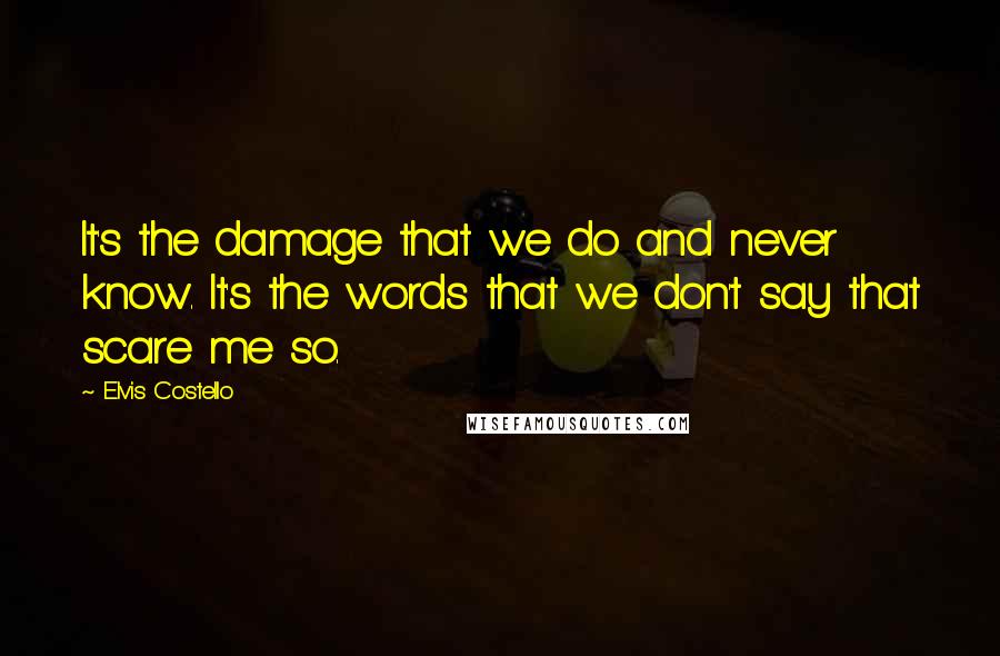 Elvis Costello Quotes: It's the damage that we do and never know. It's the words that we don't say that scare me so.