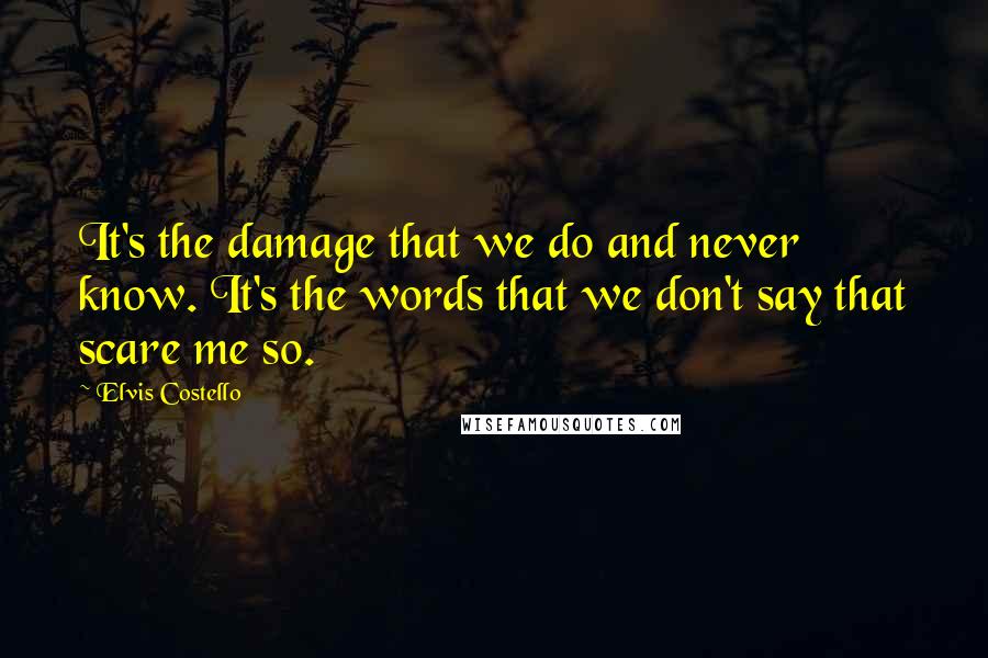 Elvis Costello Quotes: It's the damage that we do and never know. It's the words that we don't say that scare me so.