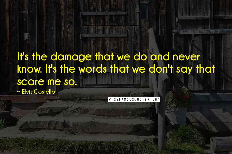 Elvis Costello Quotes: It's the damage that we do and never know. It's the words that we don't say that scare me so.