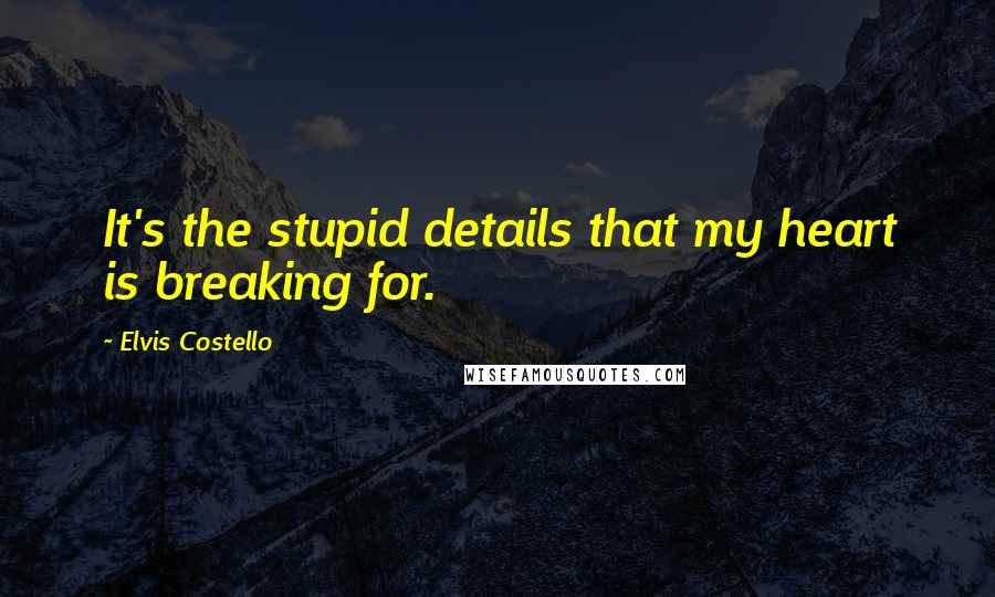 Elvis Costello Quotes: It's the stupid details that my heart is breaking for.