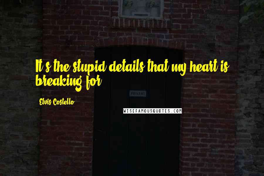 Elvis Costello Quotes: It's the stupid details that my heart is breaking for.