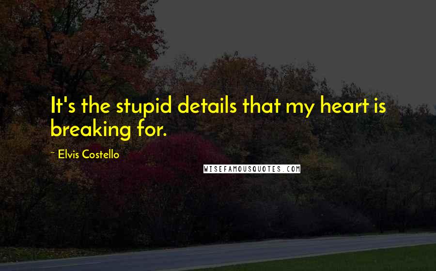 Elvis Costello Quotes: It's the stupid details that my heart is breaking for.