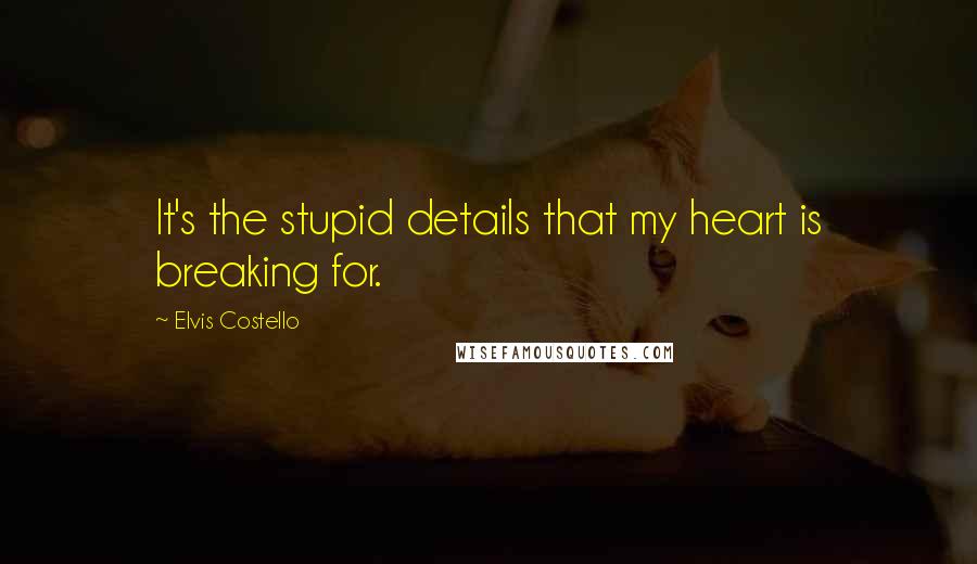 Elvis Costello Quotes: It's the stupid details that my heart is breaking for.