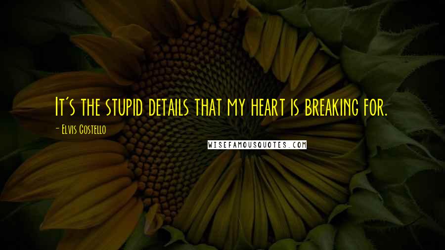 Elvis Costello Quotes: It's the stupid details that my heart is breaking for.