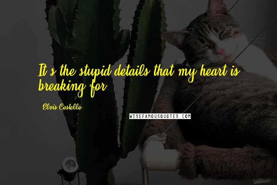 Elvis Costello Quotes: It's the stupid details that my heart is breaking for.