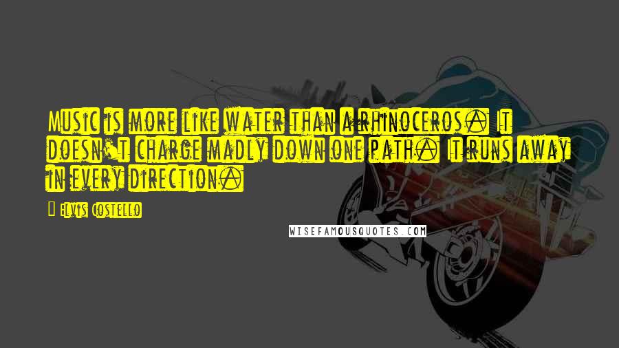 Elvis Costello Quotes: Music is more like water than a rhinoceros. It doesn't charge madly down one path. It runs away in every direction.