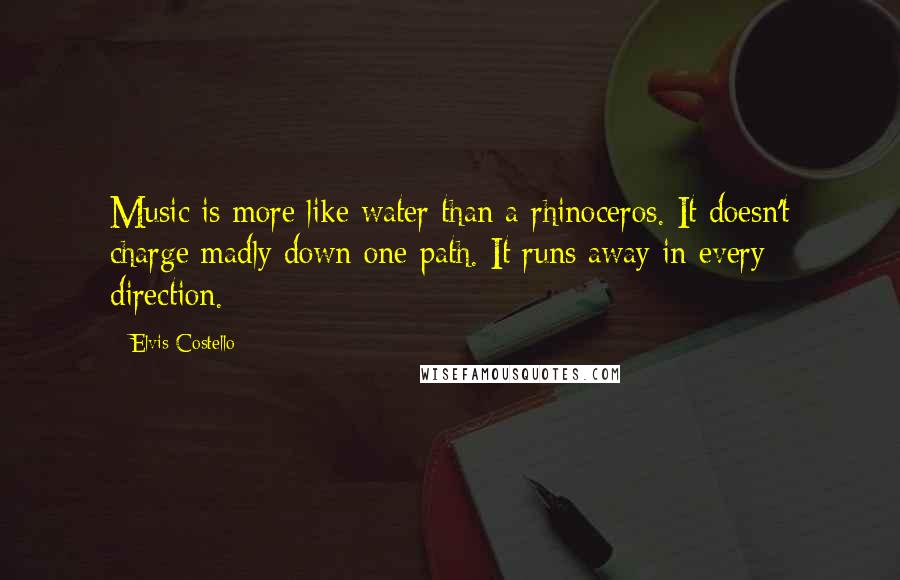 Elvis Costello Quotes: Music is more like water than a rhinoceros. It doesn't charge madly down one path. It runs away in every direction.