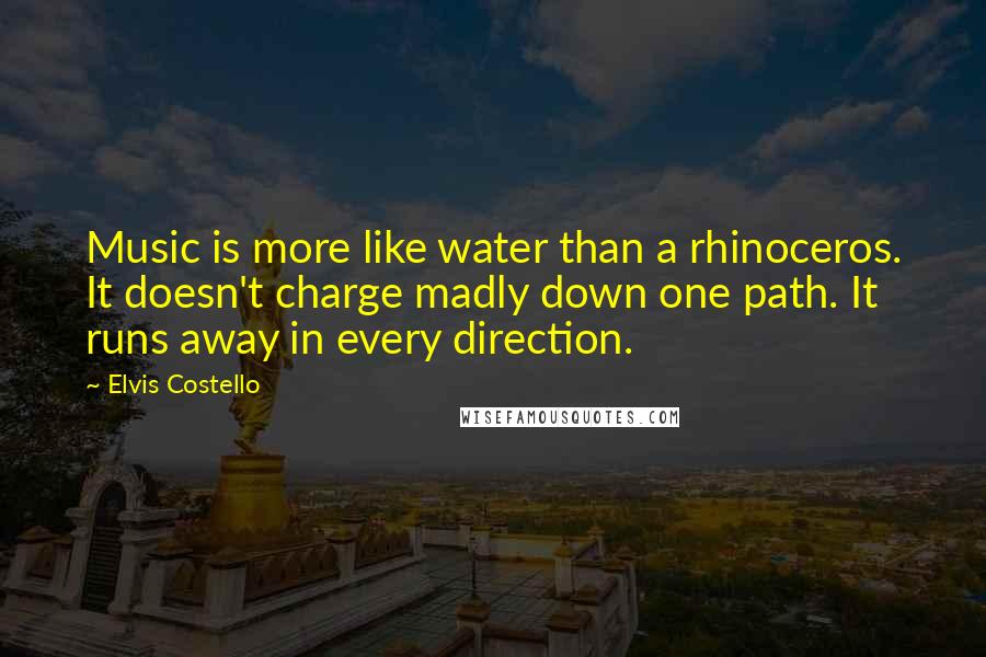 Elvis Costello Quotes: Music is more like water than a rhinoceros. It doesn't charge madly down one path. It runs away in every direction.