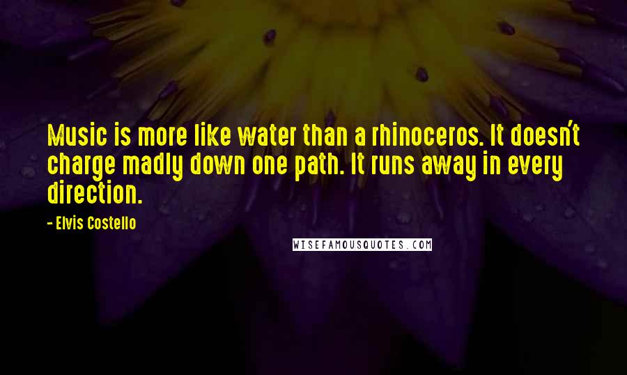 Elvis Costello Quotes: Music is more like water than a rhinoceros. It doesn't charge madly down one path. It runs away in every direction.