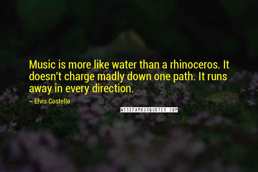 Elvis Costello Quotes: Music is more like water than a rhinoceros. It doesn't charge madly down one path. It runs away in every direction.