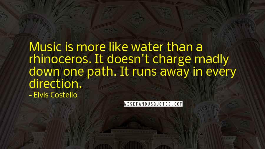 Elvis Costello Quotes: Music is more like water than a rhinoceros. It doesn't charge madly down one path. It runs away in every direction.