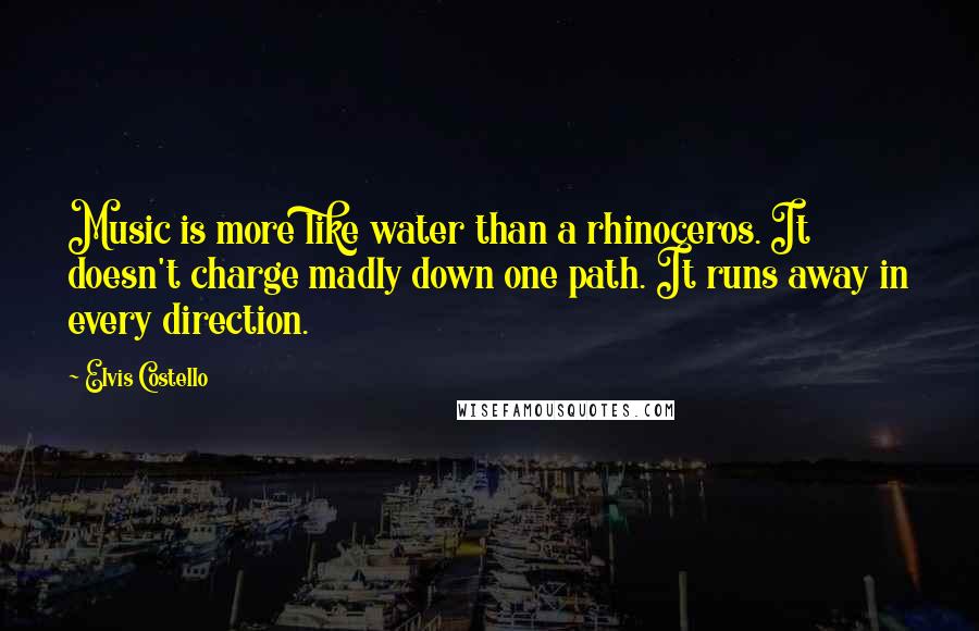 Elvis Costello Quotes: Music is more like water than a rhinoceros. It doesn't charge madly down one path. It runs away in every direction.