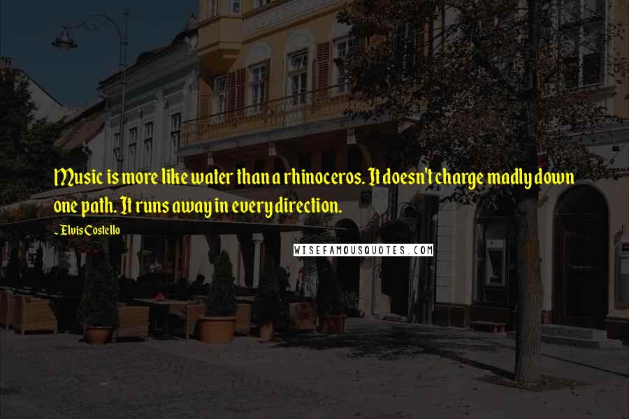 Elvis Costello Quotes: Music is more like water than a rhinoceros. It doesn't charge madly down one path. It runs away in every direction.