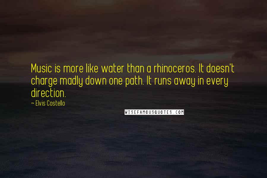 Elvis Costello Quotes: Music is more like water than a rhinoceros. It doesn't charge madly down one path. It runs away in every direction.