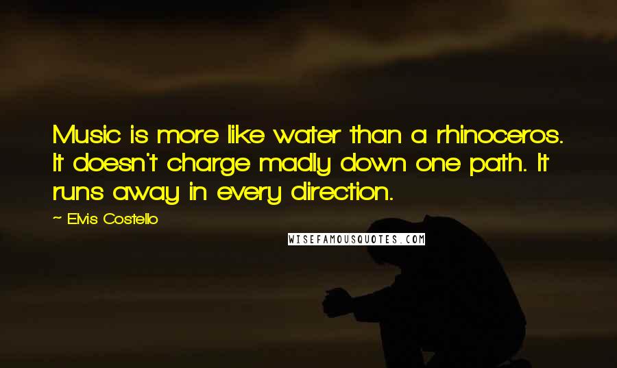 Elvis Costello Quotes: Music is more like water than a rhinoceros. It doesn't charge madly down one path. It runs away in every direction.