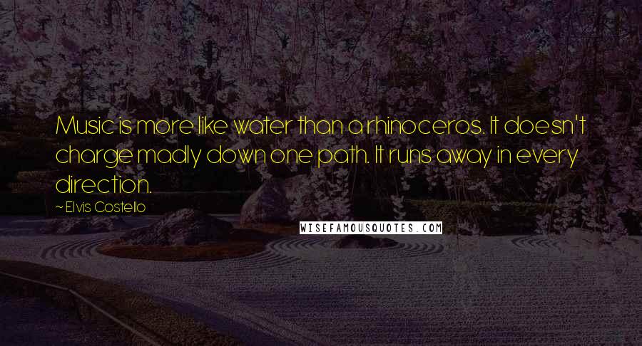 Elvis Costello Quotes: Music is more like water than a rhinoceros. It doesn't charge madly down one path. It runs away in every direction.