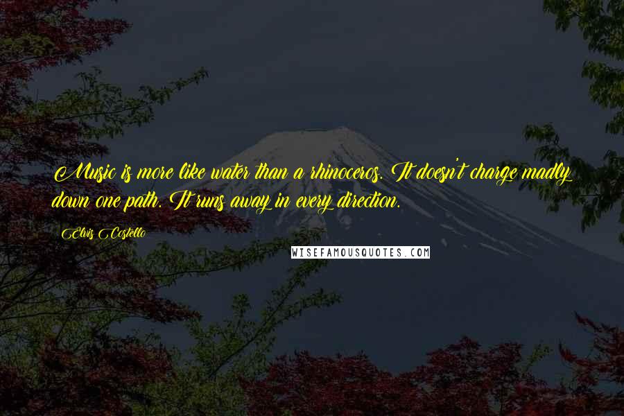 Elvis Costello Quotes: Music is more like water than a rhinoceros. It doesn't charge madly down one path. It runs away in every direction.