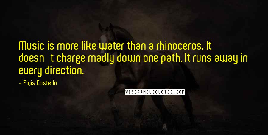 Elvis Costello Quotes: Music is more like water than a rhinoceros. It doesn't charge madly down one path. It runs away in every direction.