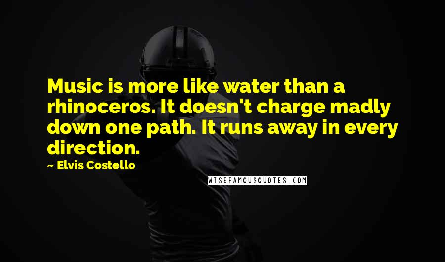 Elvis Costello Quotes: Music is more like water than a rhinoceros. It doesn't charge madly down one path. It runs away in every direction.