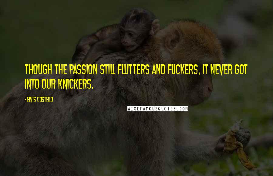 Elvis Costello Quotes: Though the passion still flutters and flickers, it never got into our knickers.