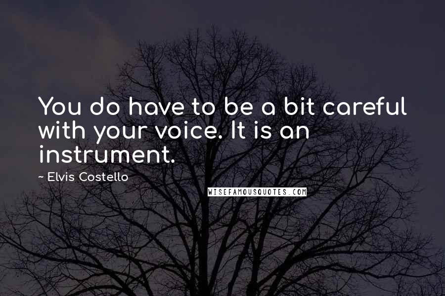 Elvis Costello Quotes: You do have to be a bit careful with your voice. It is an instrument.