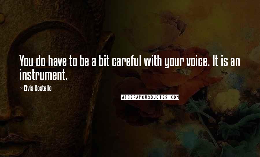 Elvis Costello Quotes: You do have to be a bit careful with your voice. It is an instrument.