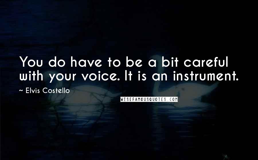 Elvis Costello Quotes: You do have to be a bit careful with your voice. It is an instrument.