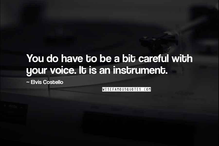 Elvis Costello Quotes: You do have to be a bit careful with your voice. It is an instrument.