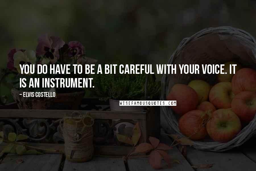 Elvis Costello Quotes: You do have to be a bit careful with your voice. It is an instrument.