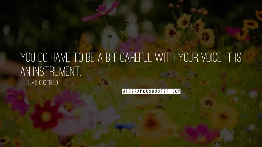 Elvis Costello Quotes: You do have to be a bit careful with your voice. It is an instrument.